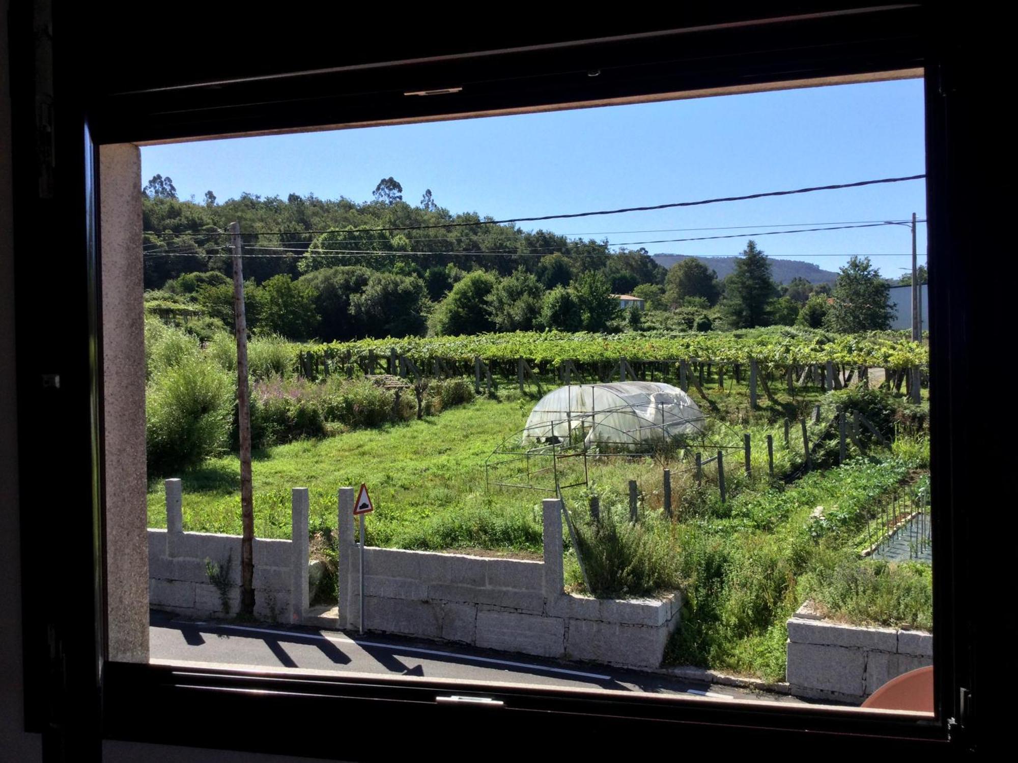 Lar Do Pazo Daire Barro  Dış mekan fotoğraf
